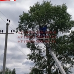 2020-06-29 22-27-03_1593464868331