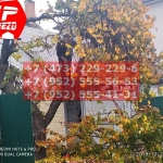 IMG-20191029-WA0253